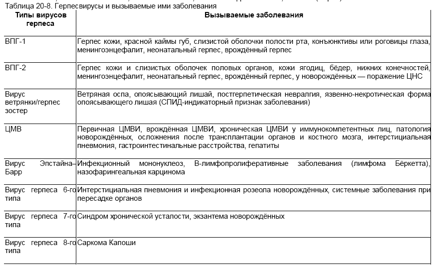 Впг 3. Вирусы семейства герпеса классификация. Герпес 6 типа классификация. Типы вируса герпеса и заболевания которые они вызывают. Систематика вируса герпеса.